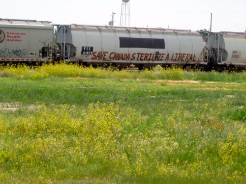 “Save Canada, Sterilize a Liberal,” Graffiti on Rail Car, Siding Near Fortuna, North Dakota, 2006.Lo