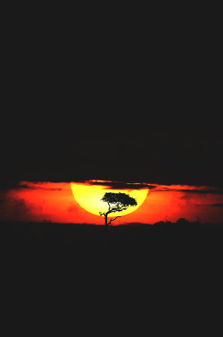 wavemotions:  Africa by Mario Moreno