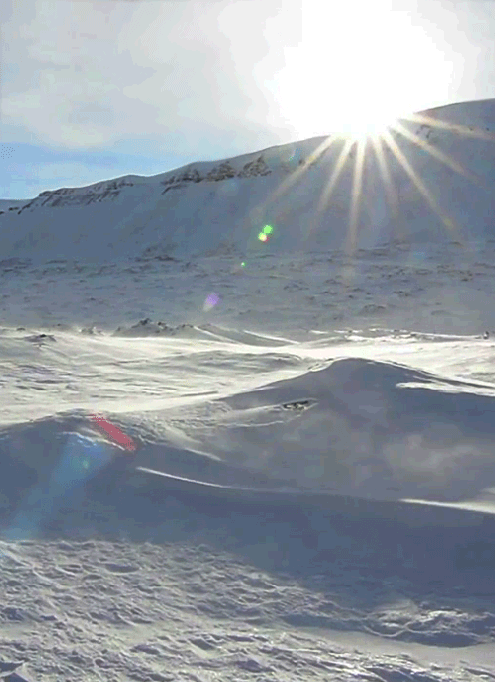 totesyourmate:  Arctic Wind - GIF 