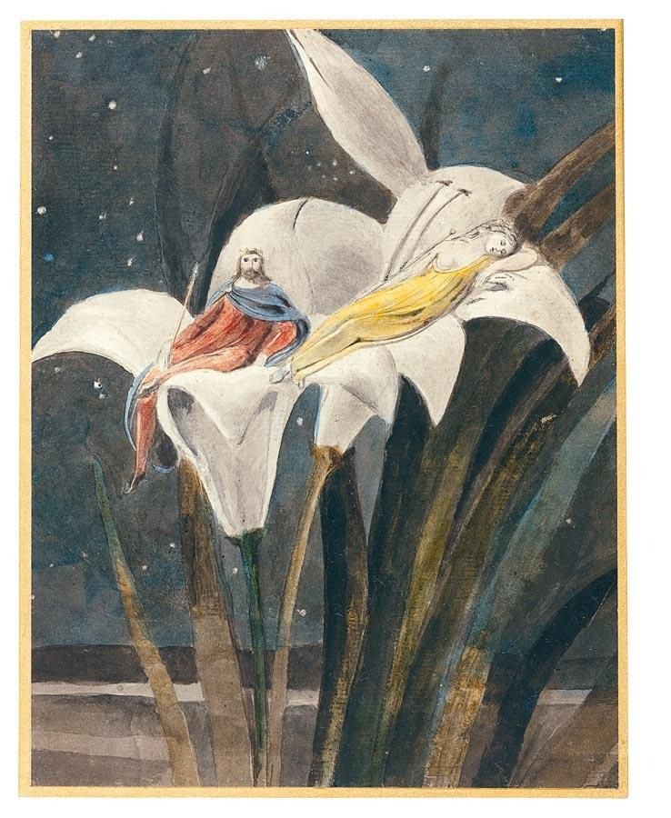 chloefrancillon:  William Blake 