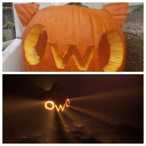 thickness-protection-program:Happy Hewwoween