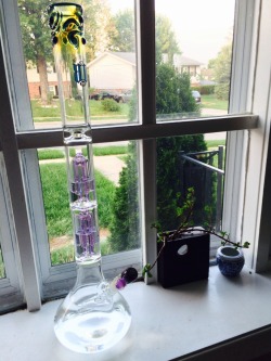 The-Stoner-Sage:  Clean Glass Is Happy Glass 💜💚