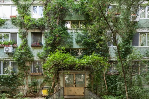 theseromaniansarecrazy: A bloc flat in Bucharest by Tudor Prisăcariu.