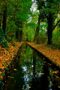 plasmatics-life:  Autumn time ~ By Georgios