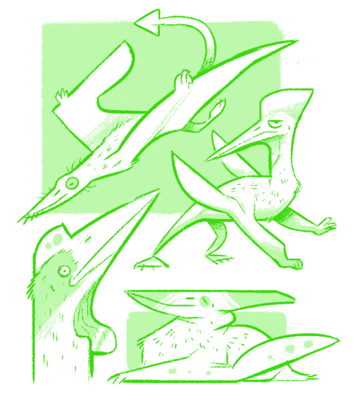 eckspeeemb:Pterosaur doodles!