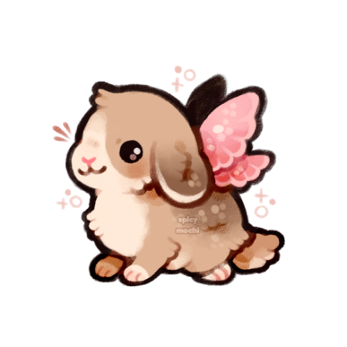 fairy bunny