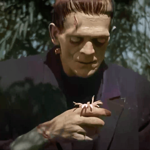 Classic Horrors In Color