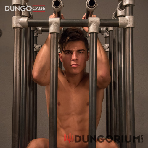 Porn dungorium: DUNGOCAGE 299 € www.dungorium.com photos