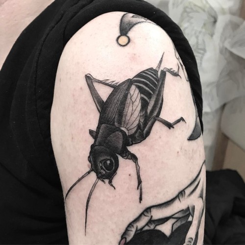 Cricket!! All the bug tattoos please! (at Passage Tattoo)