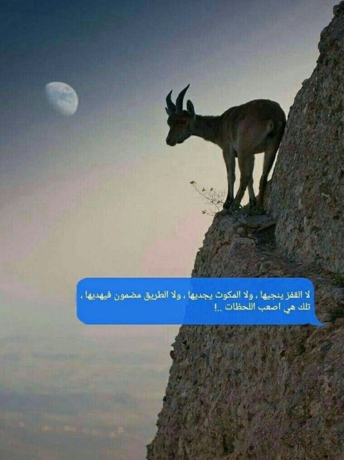 hhmaha - 💓