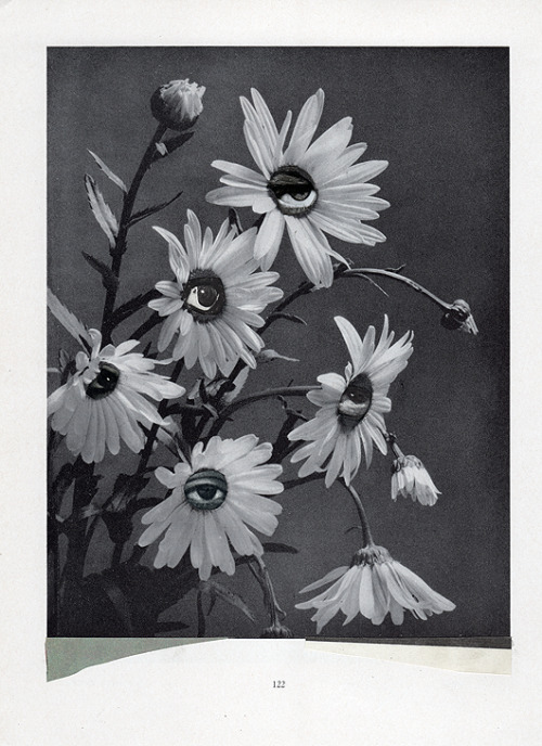 charleswilkin:  Time Before Collage on Paper 2014