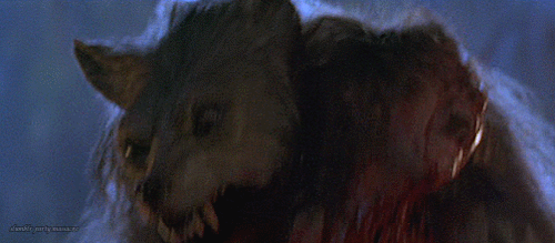 slumblr-party-massacre:Bad Moon || 1996 || Eric Red “Half man. Half wolf. Total terror.” #Monste