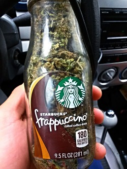 getting-high-sitting-low:  A Starbucks frappuccino bottle full of dank ass blue dream @high-tolerance