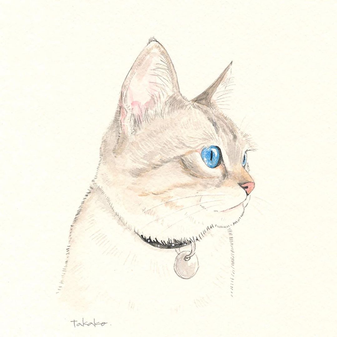 Takako Ide Illustration Takako Ide Illustration