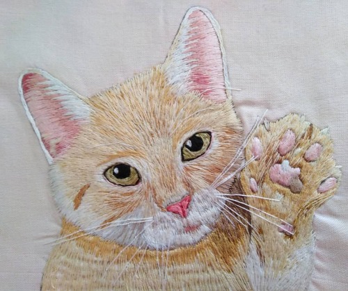 Hand-embroidered CatEtsy: @beebordandoInstagram: @beebordando  don’t remove caption