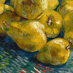 lonequixote: Vincent van Gogh Still Life with Quinces (detail) (via @lonequixote) 
