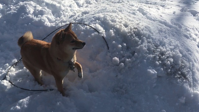 She kills the snow!