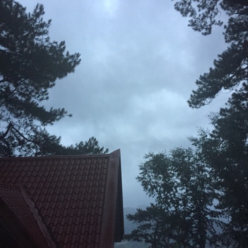 cloudhums:  I miss this so much.