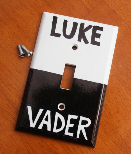 DIY Star Wars Sharpie Light Switch Plate from mmmcrafts here. There is also a really good mug at the