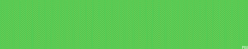 pokemon-global-academy:  Pokemon Anime Challenge: Day 24 - A character you wish