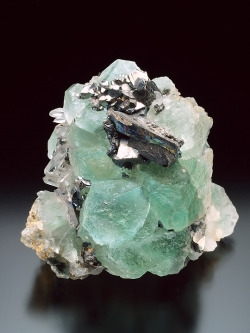 ifuckingloveminerals:  Fluorite, Quartz,