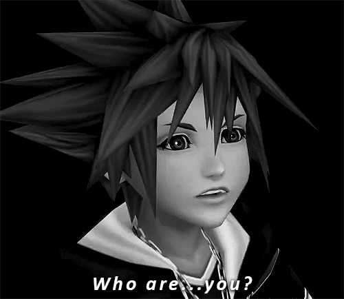 roxas-and-xion: Shion (紫苑) - I won’t forget you… 