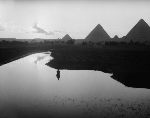 mostly-history:A farmer stands on the Nile floodplains near the pyramids of Giza(Cairo, 1936).