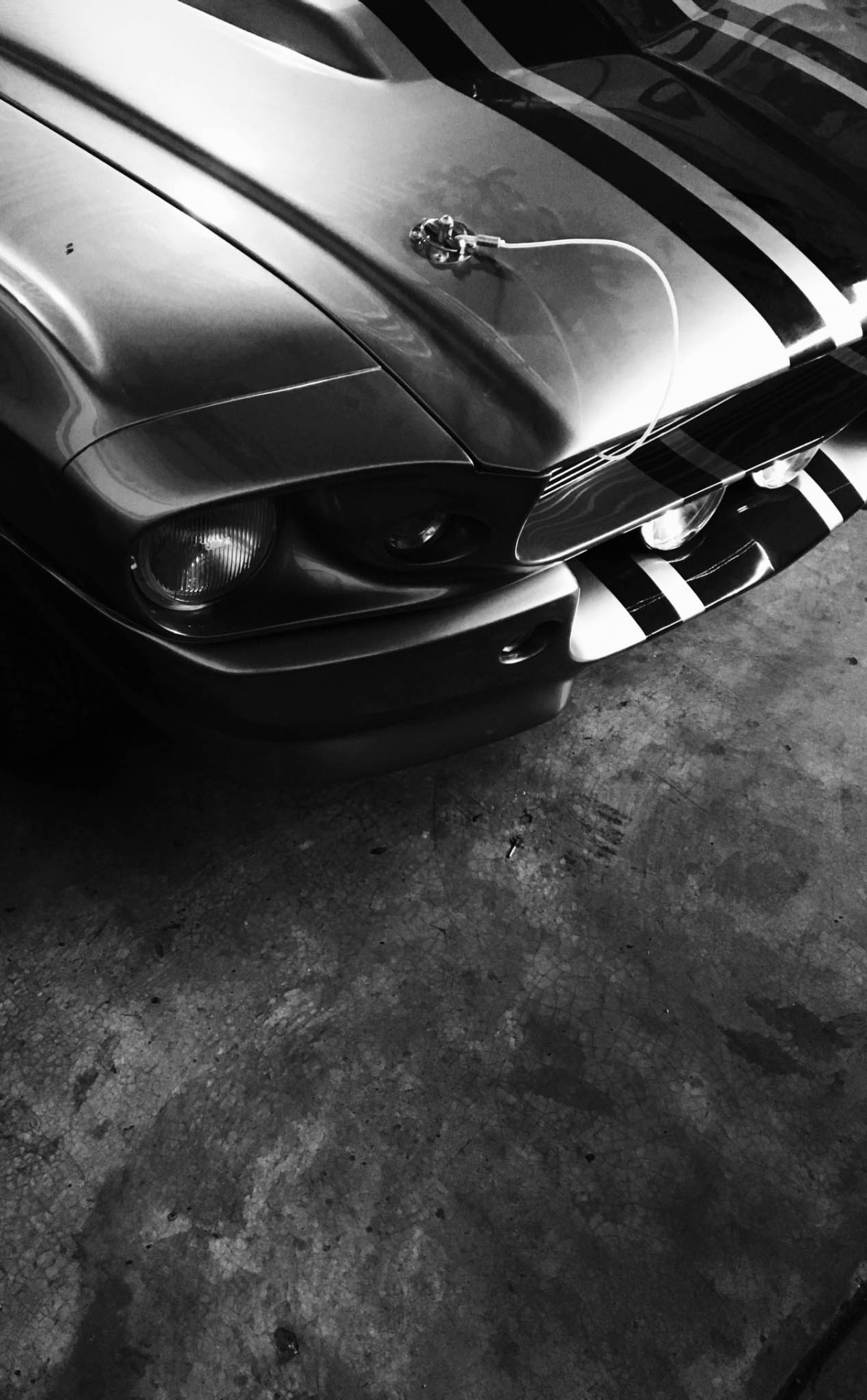h-o-t-cars:      1968 Ford Mustang Shelby GT500   “Eleanor”      | Source   