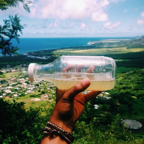 tropicri:visit this blog and experience summer