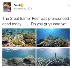 galacticclusterfuck:  earlgraytay:  overlyygayy:  So the Great Barrier Reef was pronounced dead today.  Do you even realize that is this our home. We were blessed with such a beautiful, loving, and magnificent home and look what we have done to it. Mother