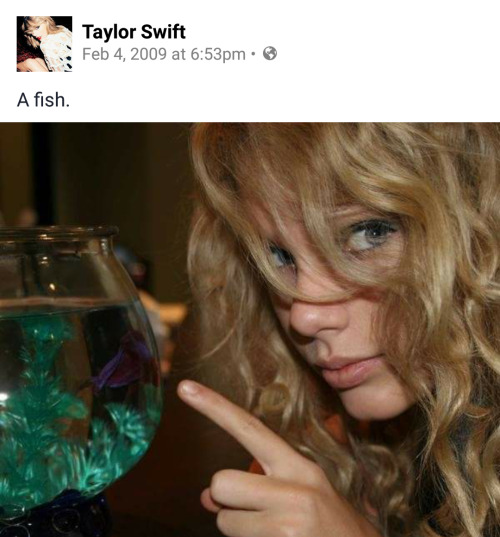taylortreasures:finding taylor’s old posts is one of many little things I live for