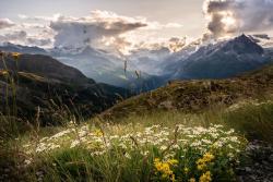 amazinglybeautifulphotography: Zermatt, Switzerland [7952 × 5304][OC] - photobucketlist