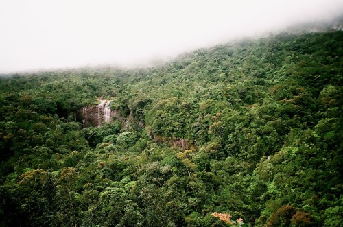 leechangming:  Adam’s Peak, 2014