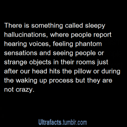 polite-buttsex:pizzaismylifepizzaisking:  thisisnotyourhomework:buttermilkwaffle:  ultrafacts:  Source For more facts, Click HERE to follow Ultrafacts  &ldquo;Sleepy&rdquo; hallucinations are also called hypnagogic imagery, referring to the transition