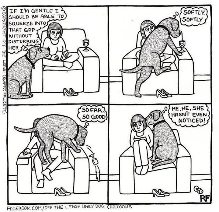 Funny Pictures And Memes On Tumblr