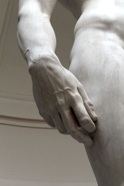 acolorblue:  details of ‘david’. by, michelangelo. 