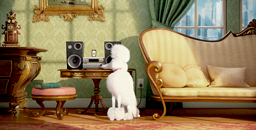 toxeh:  toxeh:  New trailer for the secret life of pets.   I’m reblogging this again to cackle at how many people are gonna listen to ‘Bounce’ by SOAD and realize how NOT OKAY FOR A KID’S SHOW IT IS. u go metalpoodle. Rock out. 