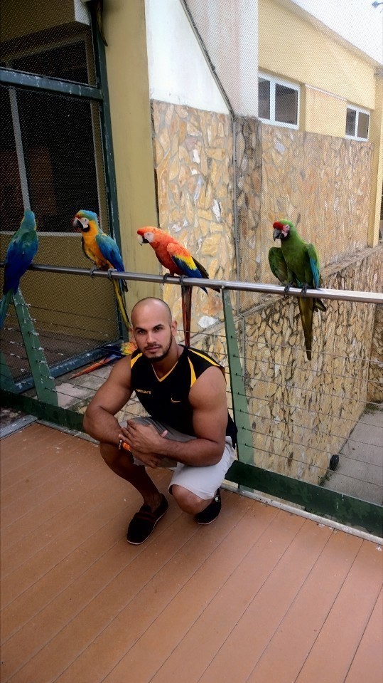 jose carlos