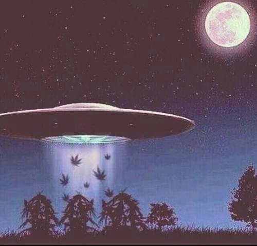 allyenigena:  fadedprincess23:  We come in peace. 平和  ▲