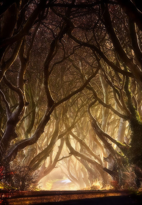 themelancholyhill:  Some Irish Proverbs: Age is honorable and youth is noble. Both