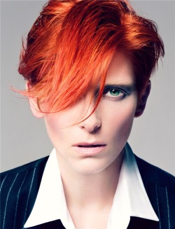 fuckyeahandrogynousgirls:   dansmonunivers: Tilda Swinton as David Bowie by Craig Mcdean for Vogue italia  