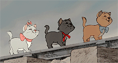 Everybody wants to be a cat. Because a cat’s the only cat who knows where it’s