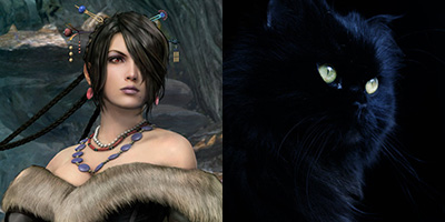 amandablogsthings:  Final Fantasy X : Catnip 