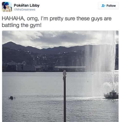 the-future-now:  Pokémon Go players are kayaking out into the ocean to claim a gym In Wellington, New Zealand, there’s a gym located by a  fountain. The problem? That fountain is in the middle of Wellington  Harbour. Not that that’s stopping some