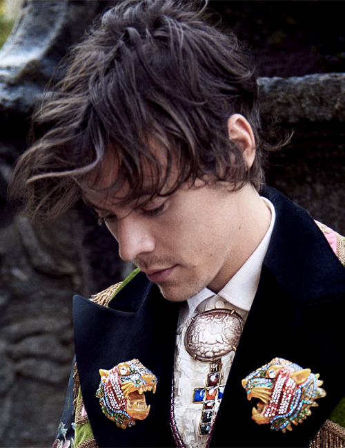 punkbandsharry: DIED AND WENT TO HEAVEN HARRYS GUCCI CAMPAIGN IS EVERYTHING 