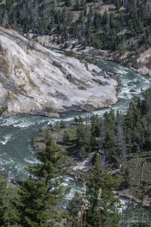 A classic meander bend, Yellowstone River at Calcite Springs, Yellowstone National Park, Wyoming&cop
