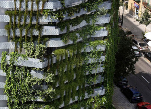 Barcelona vertical garden by  Capella Garcia Arquitectura 