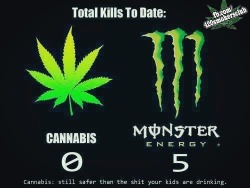 thatswhatmaryjanesaid:  i looked it up and the fda did link 5 deaths with the consumption of monster drinks. and marijuana is less addicting than caffeine.  yes it is, go ahead look it up.  less physically addicting than caffeine.  and i think we all