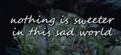 Nothing&hellip;