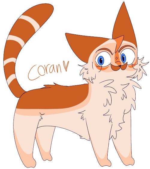 voltroncats:  Coran Hieronymus Wimbleton Smythe!Please do not Repost, check here for more info befor